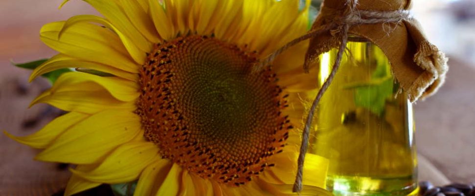 sunflower seeds